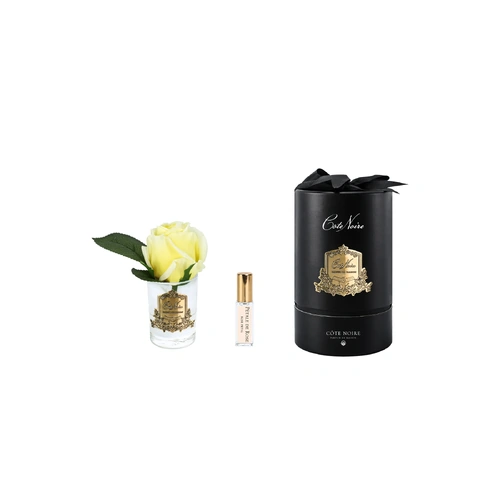Single Yellow Rose Perfumed Flower